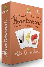 картинка Carti de joc Montessori. Cele 5 simturi magazinul BookStore in Chisinau, Moldova