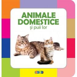 картинка Animale domestice si puii lor magazinul BookStore in Chisinau, Moldova