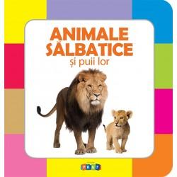 картинка Animale salbatice si puii lor magazinul BookStore in Chisinau, Moldova