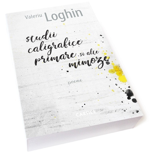 Studii caligrafice primare si alte mimoze