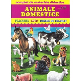 картинка Animale domestice. Placarda, Loto, Desene de colorat magazinul BookStore in Chisinau, Moldova