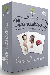 картинка Carti de joc Montessori. Corpul uman magazinul BookStore in Chisinau, Moldova