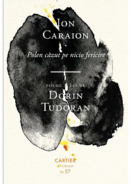 картинка Polen cazut pe nicio fericire. Poeme alese de Dorin Tudoran magazinul BookStore in Chisinau, Moldova