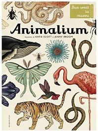 картинка Animalium. Bun venit la muzeu. Intrarea libera magazinul BookStore in Chisinau, Moldova