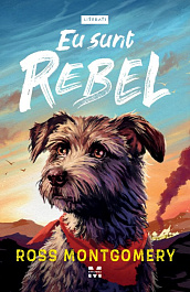 картинка Eu sunt Rebel magazinul BookStore in Chisinau, Moldova