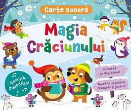 картинка Magia Craciunului magazinul BookStore in Chisinau, Moldova