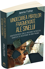 картинка Vindecarea partilor fragmentate ale Sinelui magazinul BookStore in Chisinau, Moldova