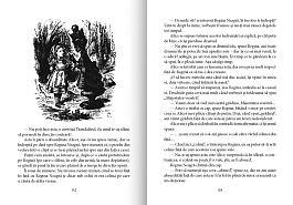 картинка BPTC. Alice in Lumea Oglinzii magazinul BookStore in Chisinau, Moldova