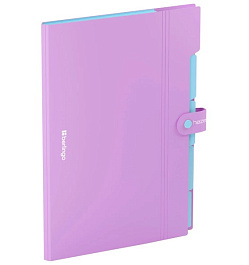 картинка Mapa-plastic cu buton BERLINGO Haze A4, 5sep.,liliachiu magazinul BookStore in Chisinau, Moldova