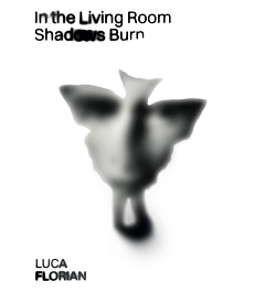 картинка In the living room shadows burn magazinul BookStore in Chisinau, Moldova