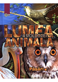 картинка Lumea Animala a Moldovei. Vol.3. Pasari magazinul BookStore in Chisinau, Moldova