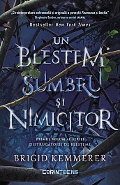 картинка Un blestem sumbru si nimicitor. Distrugatorii de blesteme. Vol.1 magazinul BookStore in Chisinau, Moldova