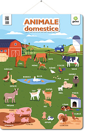 картинка Animale domestice. Poster magazinul BookStore in Chisinau, Moldova