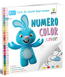 картинка NumeroColor Junior magazinul BookStore in Chisinau, Moldova