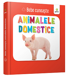 картинка Bebe Cunoaste. Animalele domestice magazinul BookStore in Chisinau, Moldova