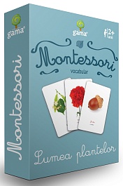 картинка Carti de joc Montessori. Lumea plantelor. Vocabular magazinul BookStore in Chisinau, Moldova