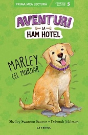 картинка Aventuri la Ham Hotel. Marley cel murdar magazinul BookStore in Chisinau, Moldova