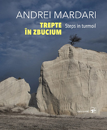 картинка Andrei Mardari. Trepte in zbucium magazinul BookStore in Chisinau, Moldova