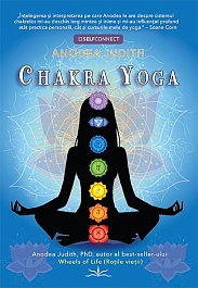 картинка Chakra Yoga magazinul BookStore in Chisinau, Moldova