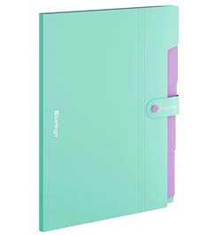 картинка Mapa-plastic cu buton BERLINGO Haze A4, 5 separ., menta magazinul BookStore in Chisinau, Moldova