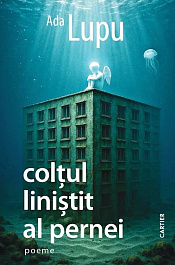 картинка Coltul linistit al pernei magazinul BookStore in Chisinau, Moldova