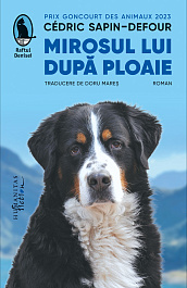 картинка Mirosul lui dupa ploaie magazinul BookStore in Chisinau, Moldova