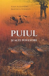 картинка Puiul si alte povestiri magazinul BookStore in Chisinau, Moldova