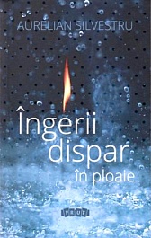 картинка Ingerii dispar in ploaie magazinul BookStore in Chisinau, Moldova