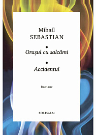 картинка Orasul cu salcami. Accidentul magazinul BookStore in Chisinau, Moldova