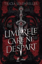 картинка Umbrele care ne despart magazinul BookStore in Chisinau, Moldova