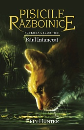 картинка Pisicile Razboinice. Vol.14. Raul intunecat magazinul BookStore in Chisinau, Moldova