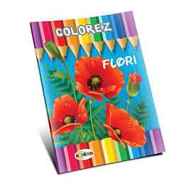 картинка Colorez. Flori magazinul BookStore in Chisinau, Moldova