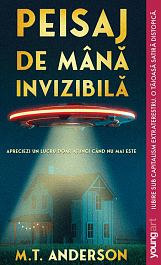 картинка Peisaj de mana invizibila magazinul BookStore in Chisinau, Moldova