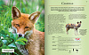 картинка Extraordinara enciclopedie a animalelor in magazinele BookStore