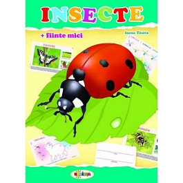 картинка Mapa Insecte+fiinte mici magazinul BookStore in Chisinau, Moldova