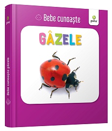 картинка Bebe Cunoaste. Gazele magazinul BookStore in Chisinau, Moldova