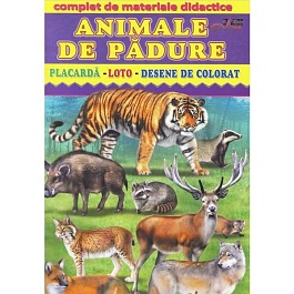 картинка Animale de padure. Placarda, Loto, Desene de colorat magazinul BookStore in Chisinau, Moldova